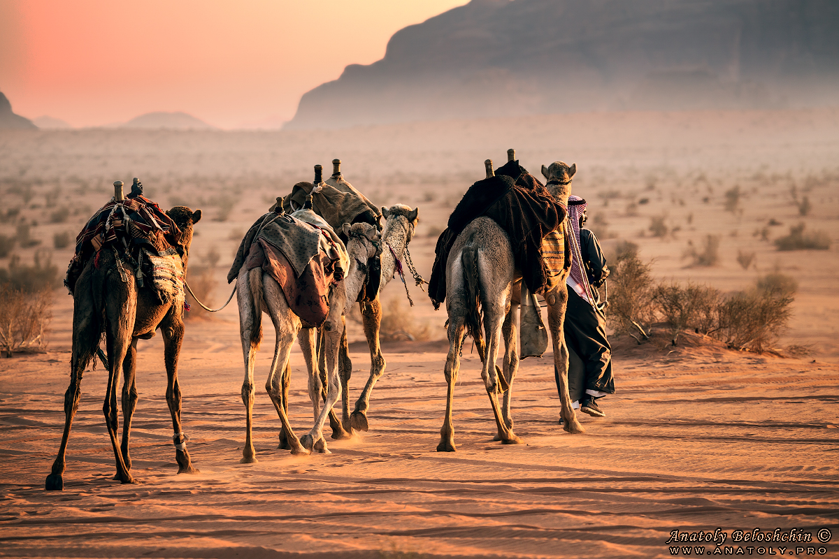 Jordan, Wadi Rum