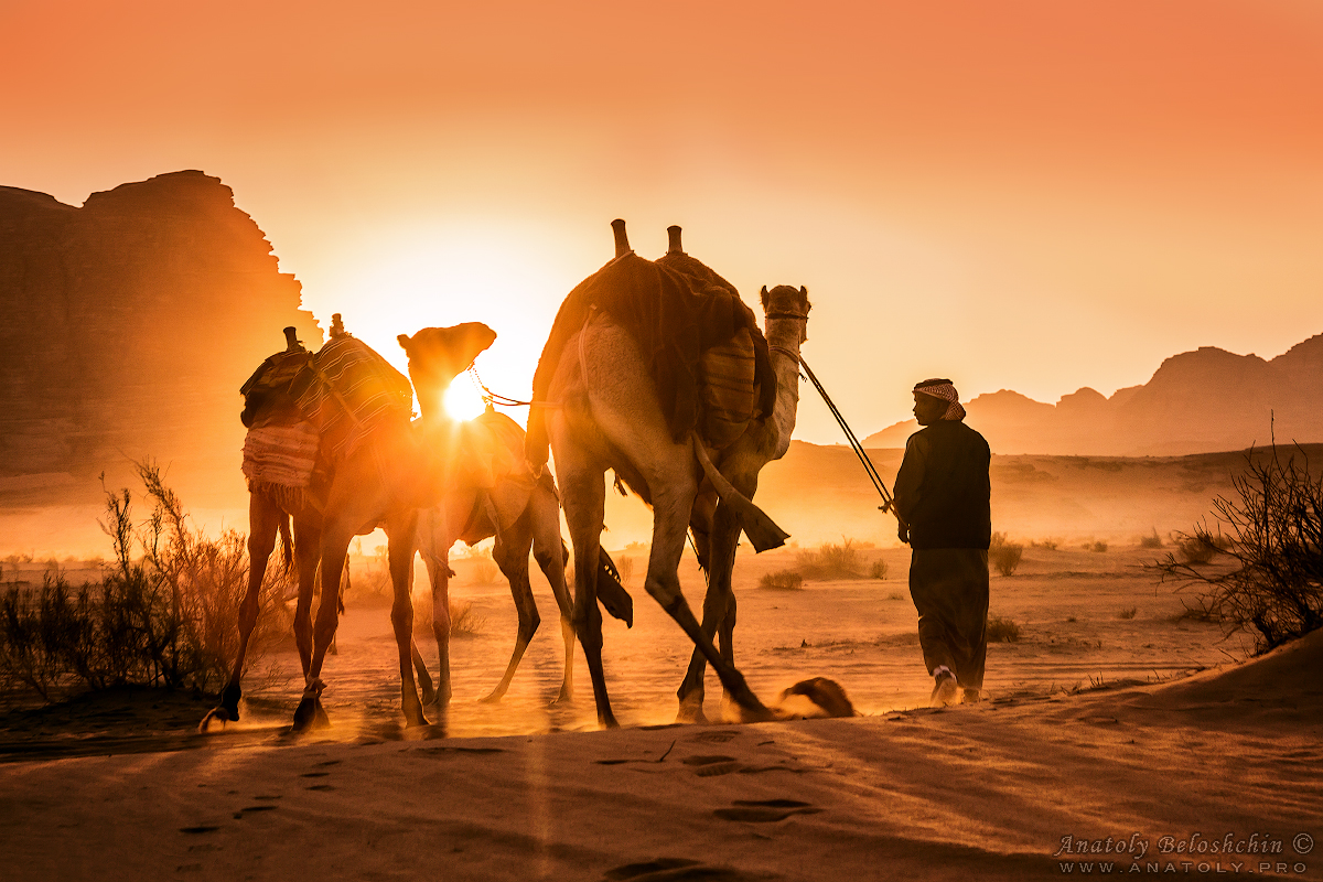 Jordan, Wadi Rum