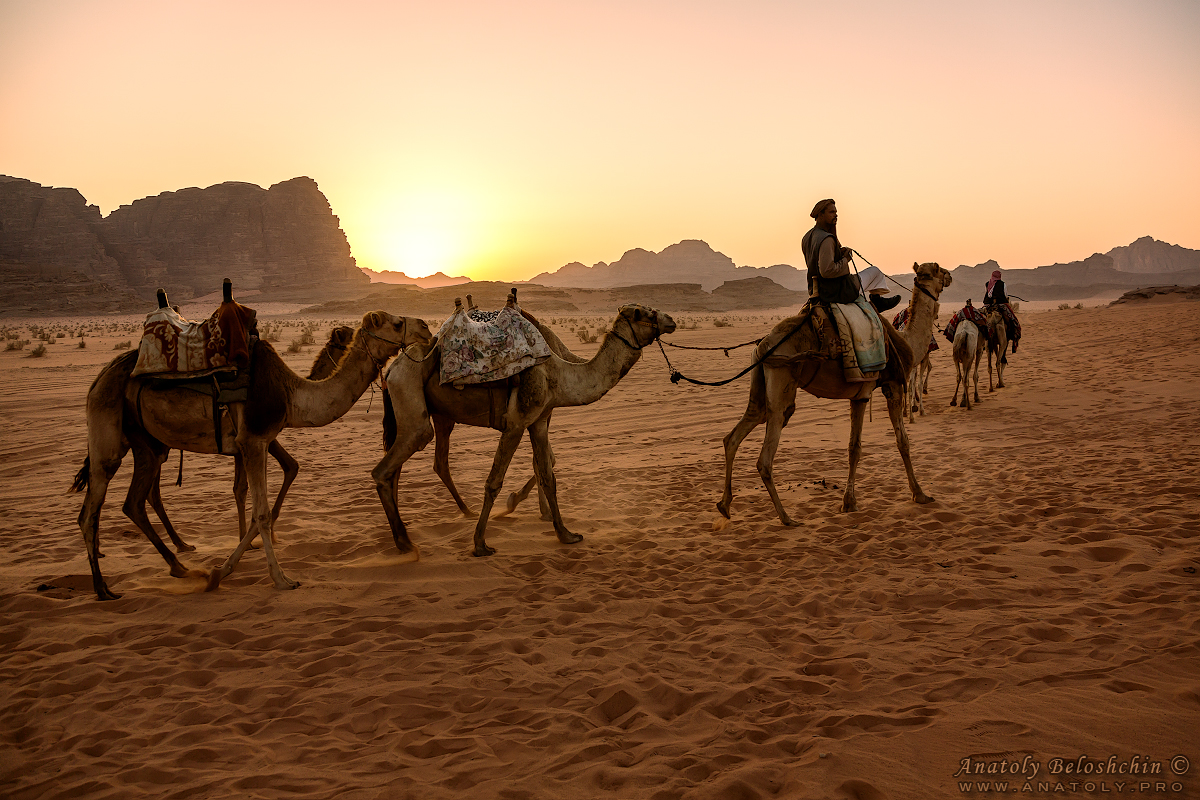 Jordan, Wadi Rum