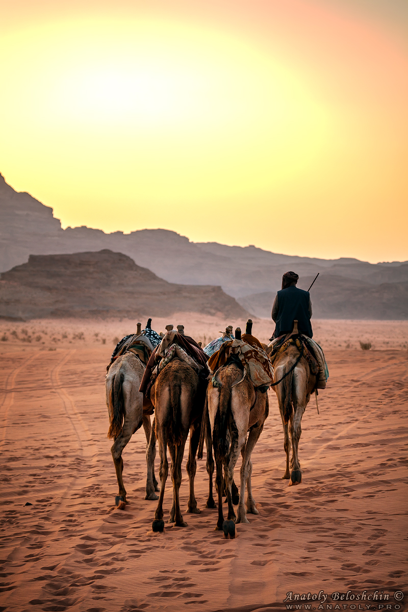 Jordan, Wadi Rum
