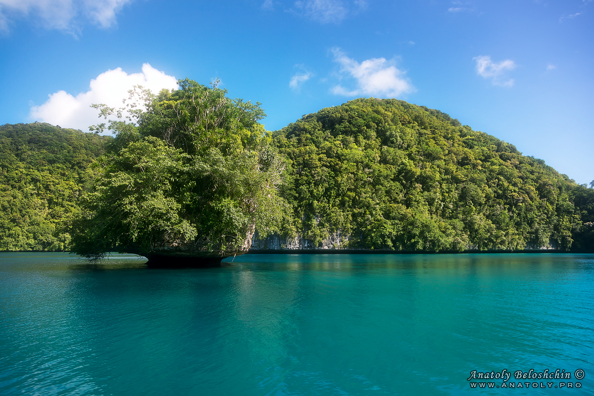 Palau, Anatoly Beloshchin, Палау, Анатолий Белощин