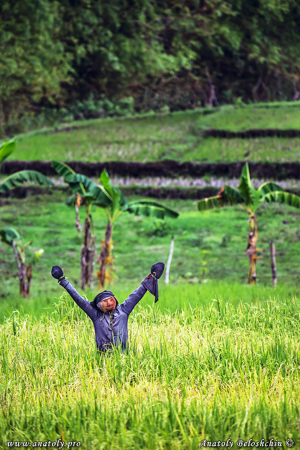 Philippines, Negros Island, Anatoly Beloshchin, Анатолий Белощин