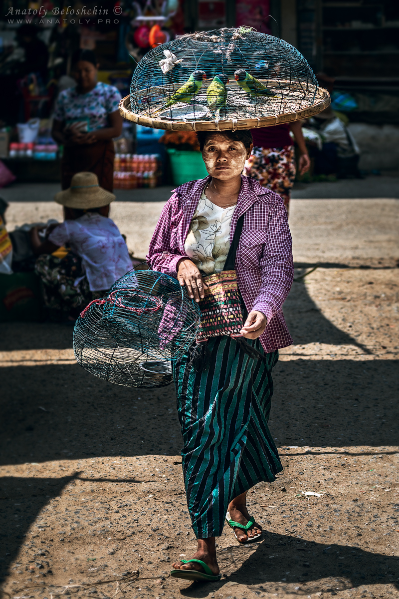 Myanmar (Burma)