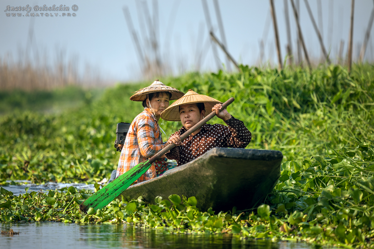 Myanmar (Burma)