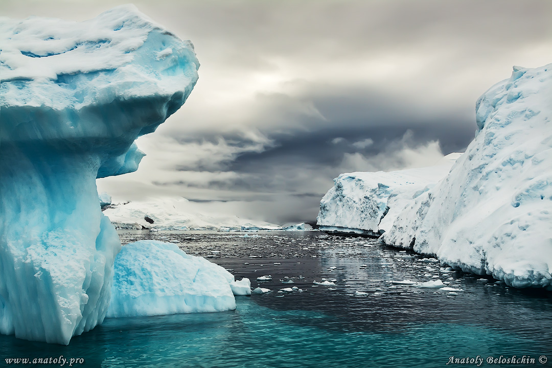 Antarctica, Anatoly Beloshchin, Анатолий Белощин, Антарктида