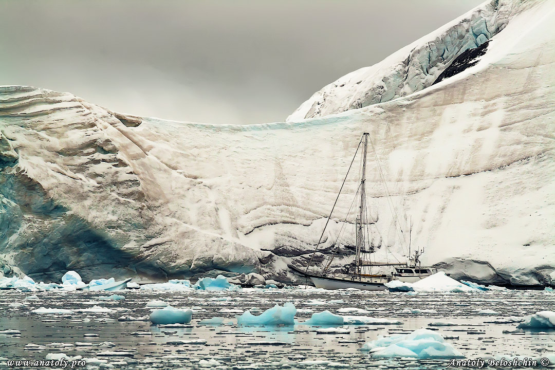 Antarctica, Anatoly Beloshchin, Анатолий Белощин, Антарктида