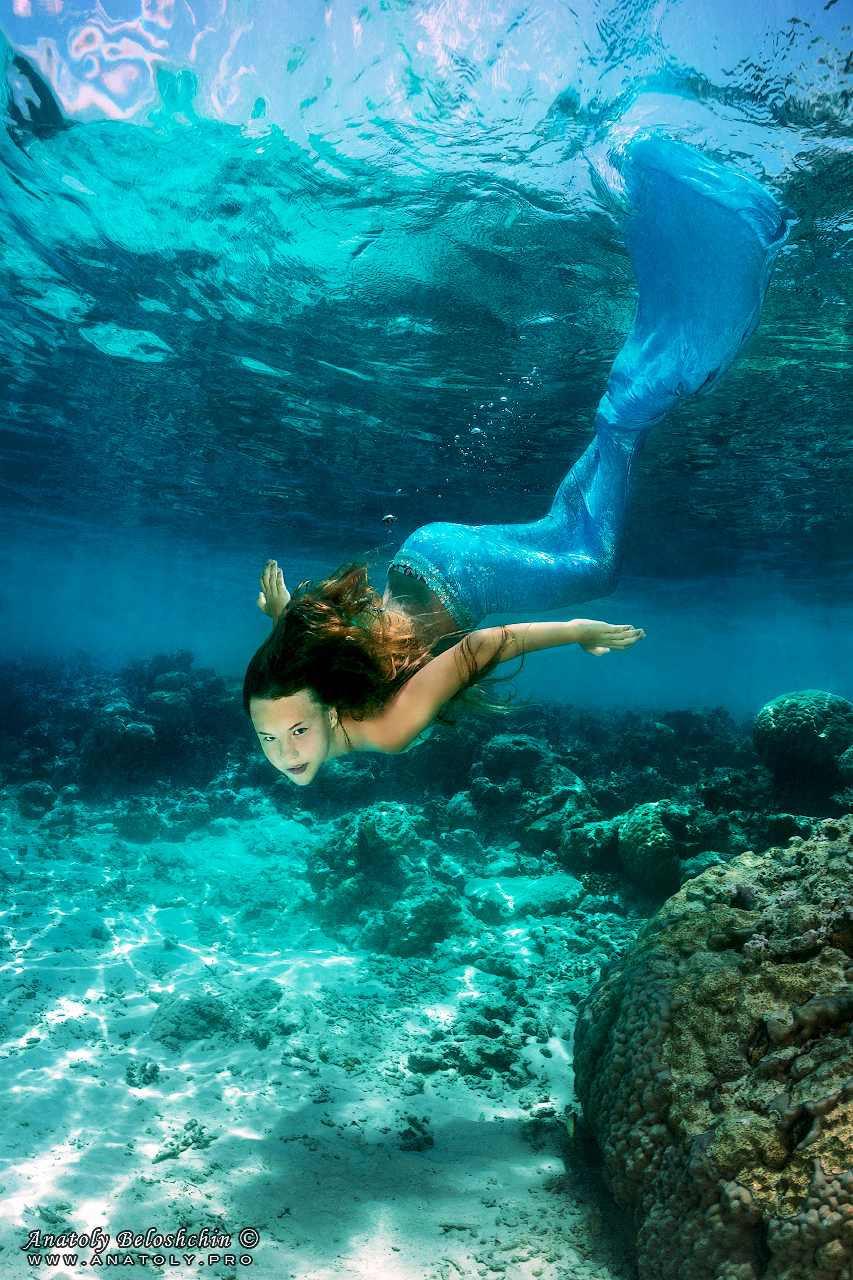 Mermaid