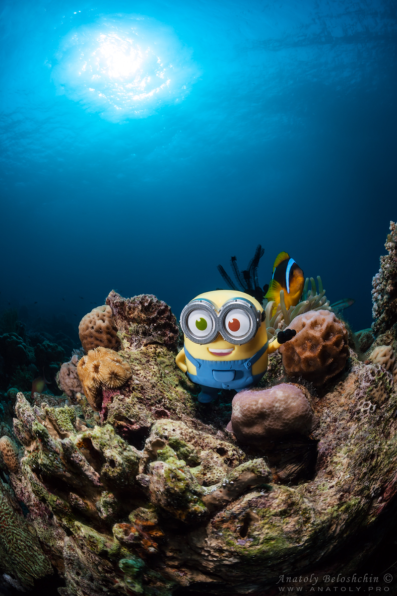Minions, Jordan