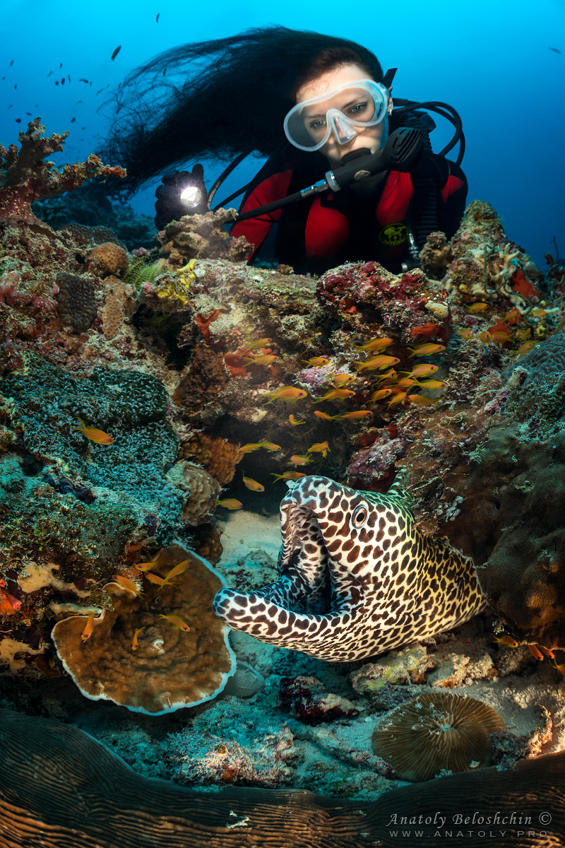 Maldives, Мальдивы, Beloshchin, Белощин