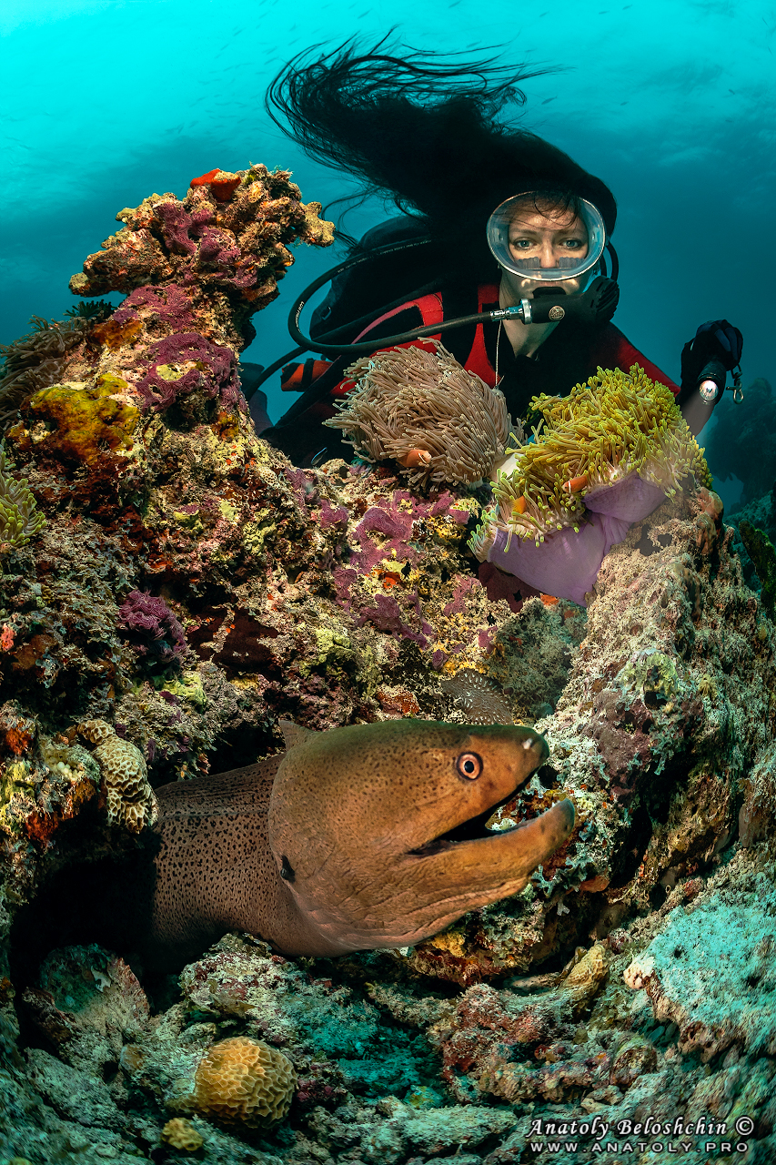 Moray