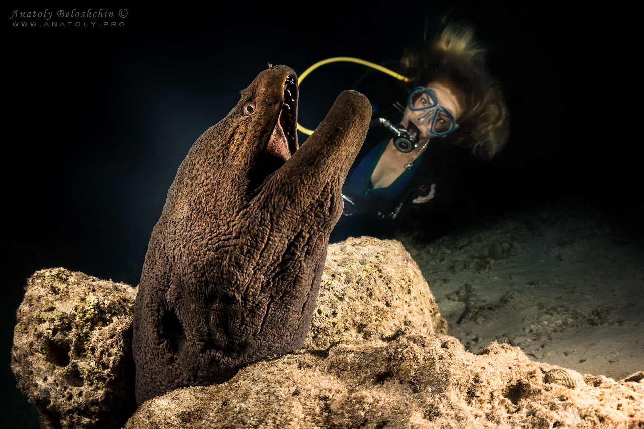 Moray