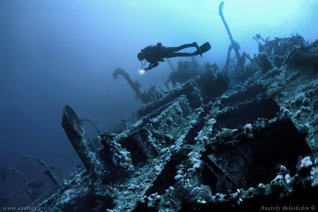 Red sea, wreck, Anatoly Beloshchin, Белощин 