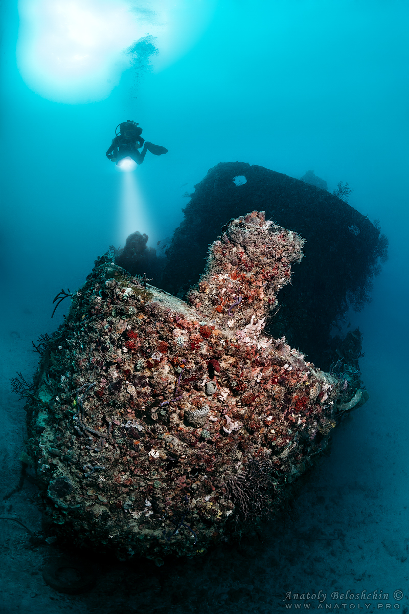 Tracy Wreck. South Florida. USA