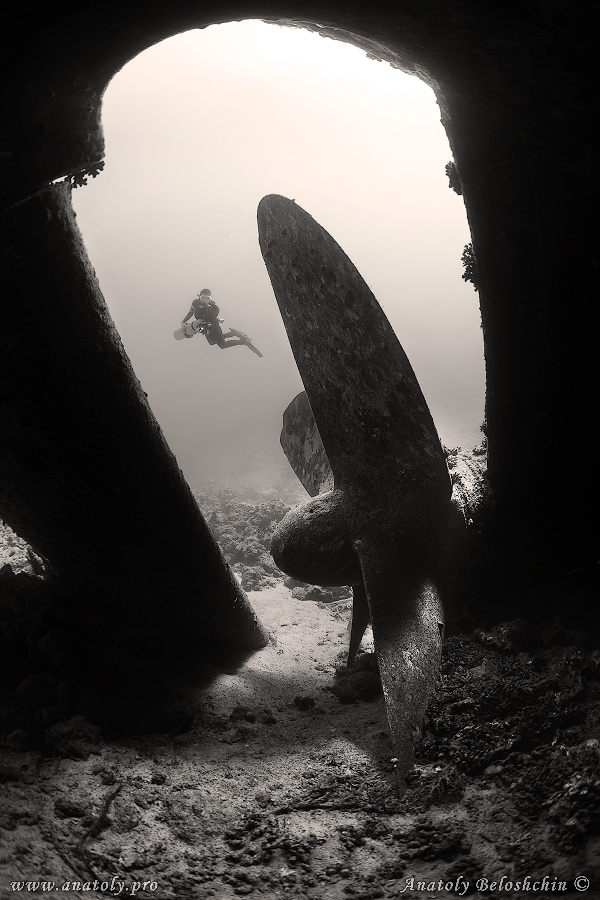 Red sea, wreck, Anatoly Beloshchin, Белощин
