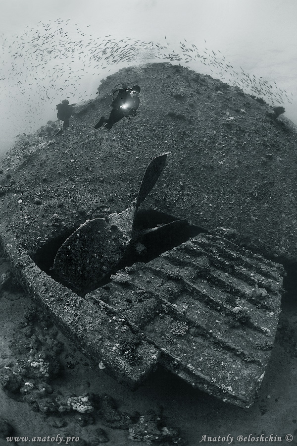 Kimon M, Seastar, Red sea, wreck, Anatoly Beloshchin, Белощин 