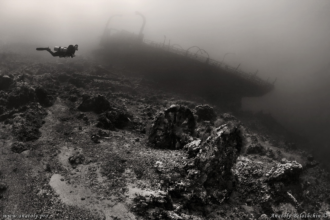 Red Sea, Aida, Anatoly Beloshchin, Белощин