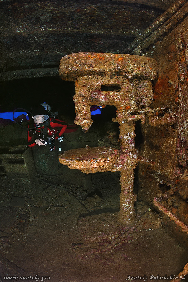  Red sea, wreck, Anatoly Beloshchin, Белощин 
